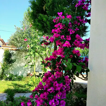 Noda (adults Only) Appart hôtel Dalyan